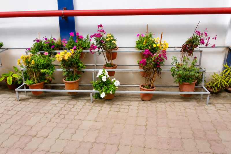 Terrace Safety Railing by Radha Krishna Enterprise